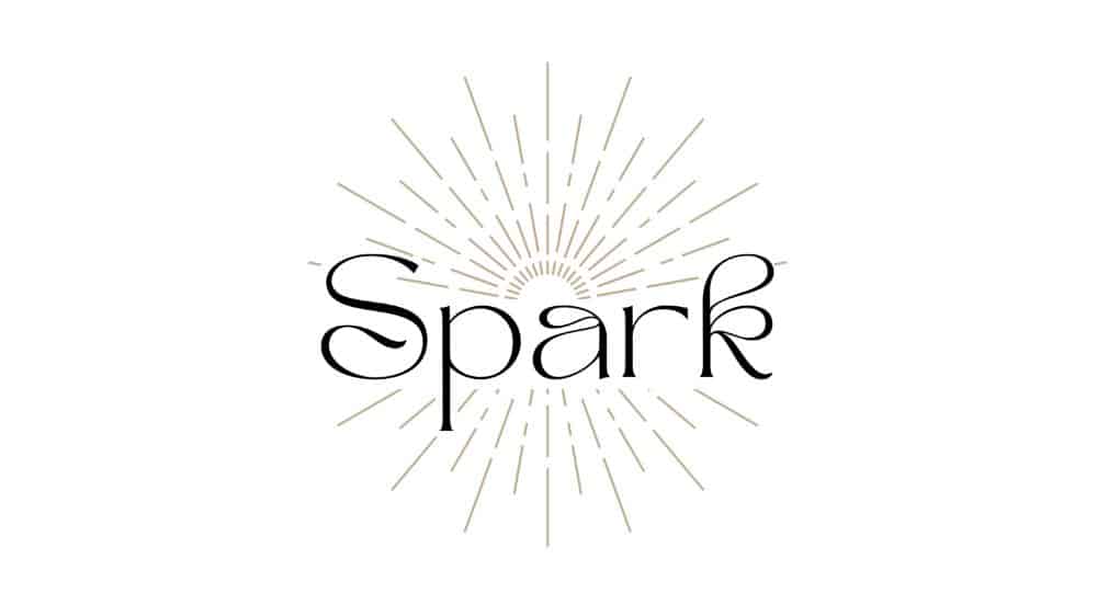 Spark Family Office